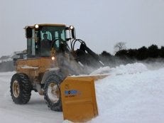 bobcat at work